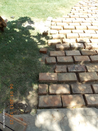 DSCN0927.JPG