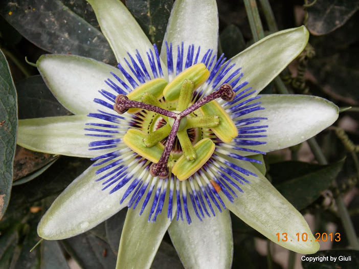 DSCN0933.JPG