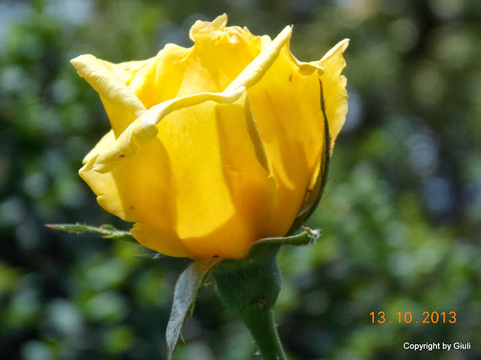 DSCN0943.JPG