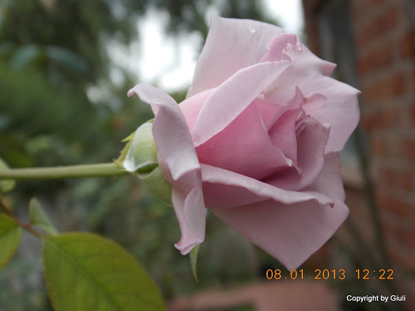 DSCN0946.JPG