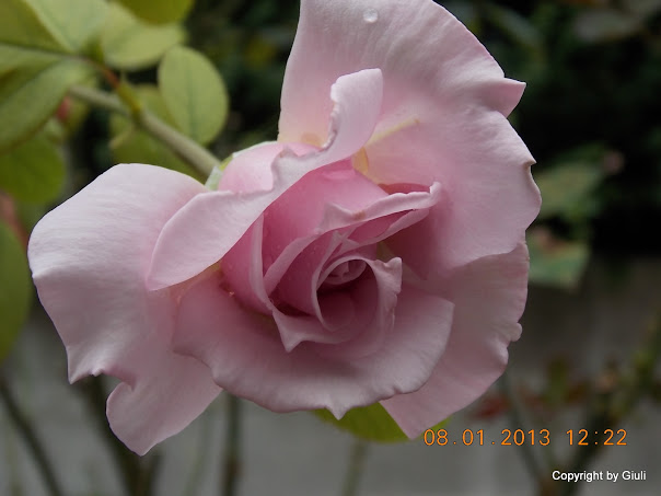 DSCN0949.JPG