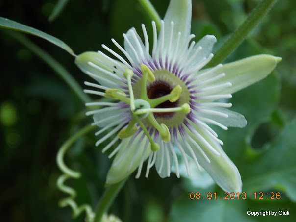 DSCN0962.JPG