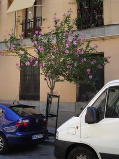 DSCN0973.jpg