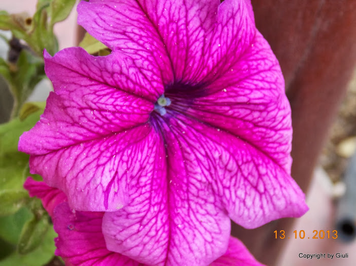 DSCN0976.JPG
