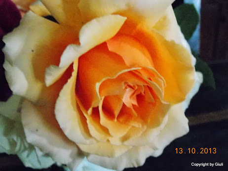 DSCN0988.JPG