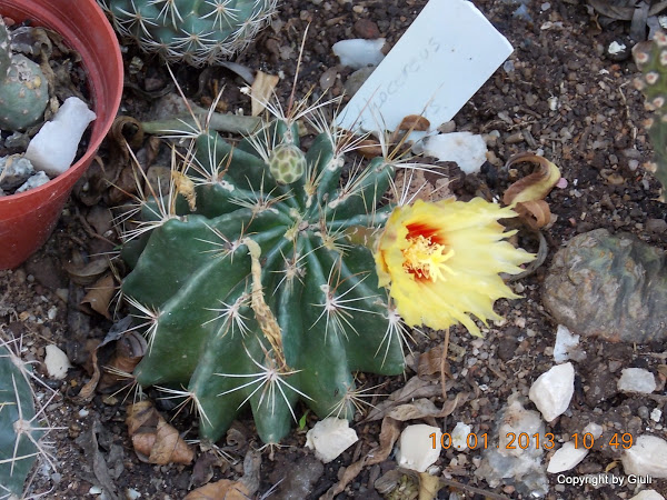 DSCN0995.JPG