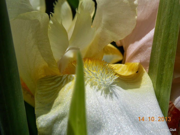 DSCN0997.JPG