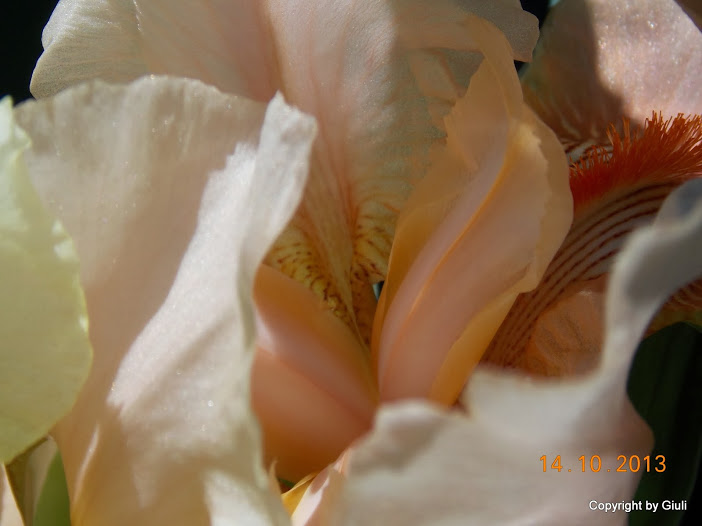 DSCN0998.JPG