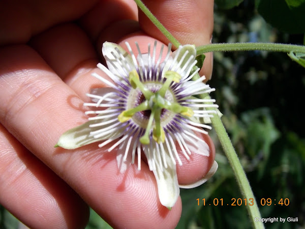 DSCN1010.JPG
