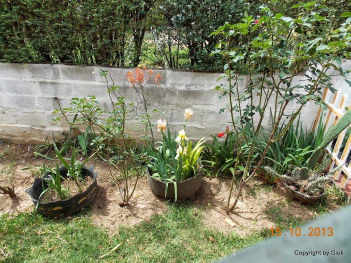 DSCN1013.JPG