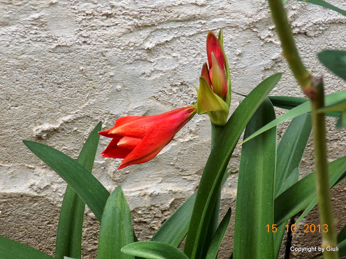 DSCN1015.JPG