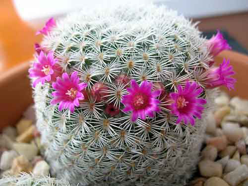 DSCN1018%7E0.JPG