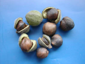 DSCN1020%7E0.jpg