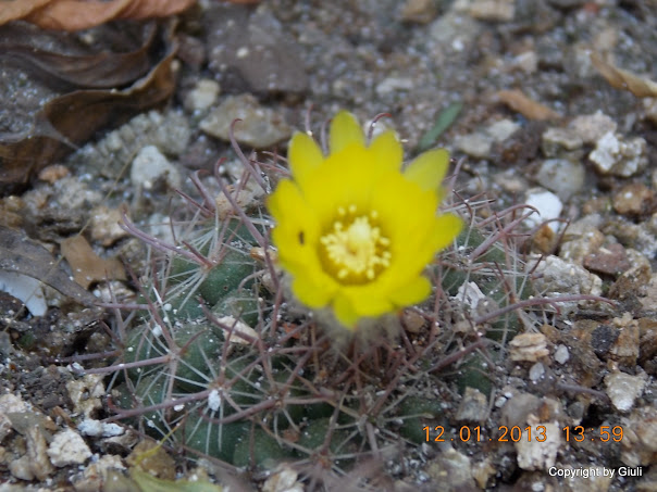 DSCN1022.JPG