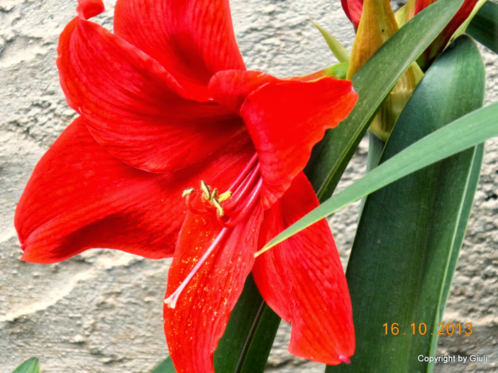 DSCN1026.JPG