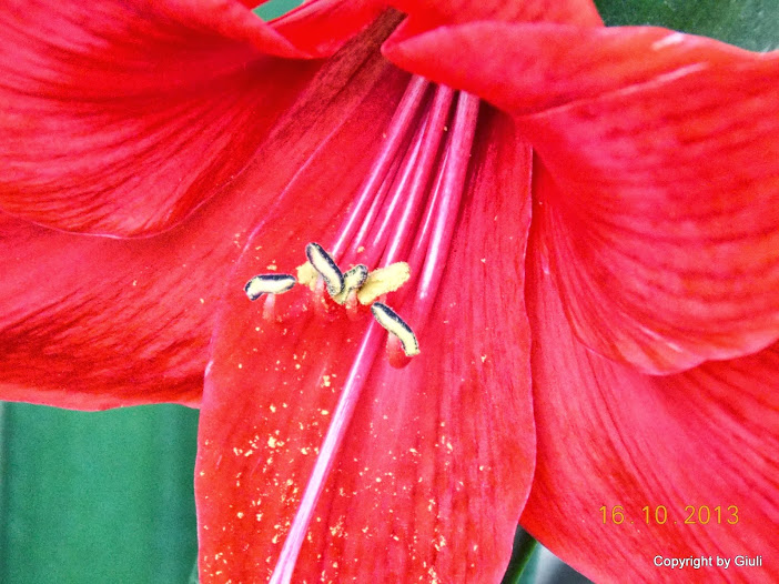 DSCN1027.JPG