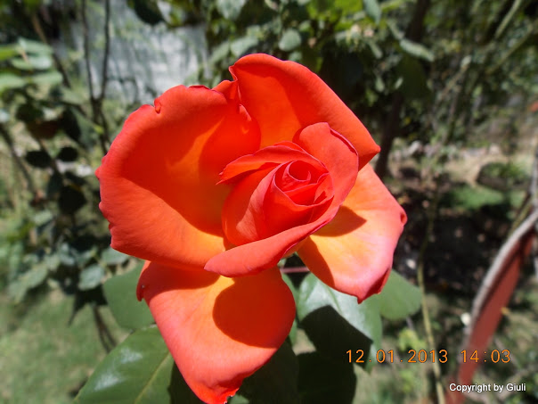 DSCN1029.JPG