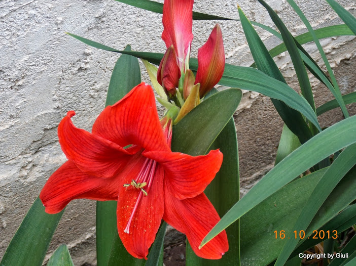 DSCN1029.JPG