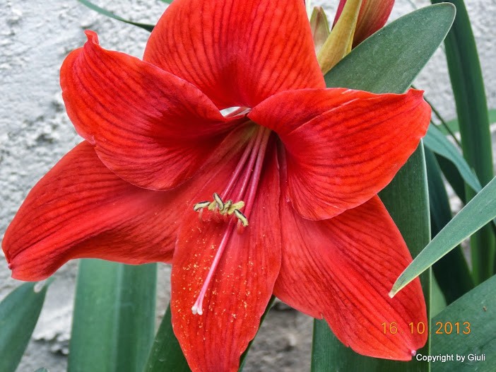 DSCN1030.JPG