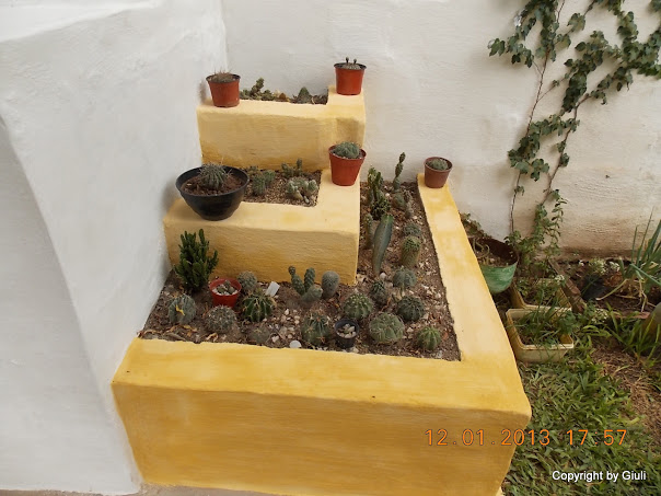 DSCN1032.JPG