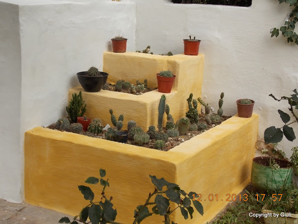 DSCN1033.JPG