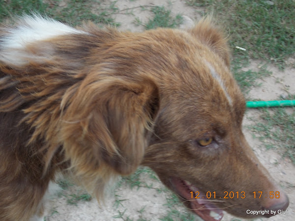 DSCN1035.JPG