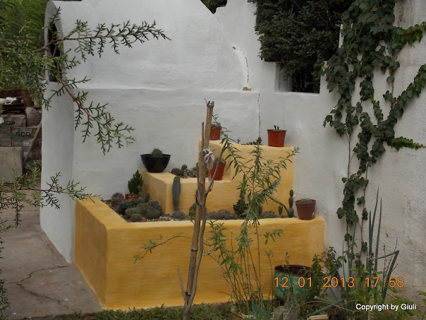 DSCN1036.JPG