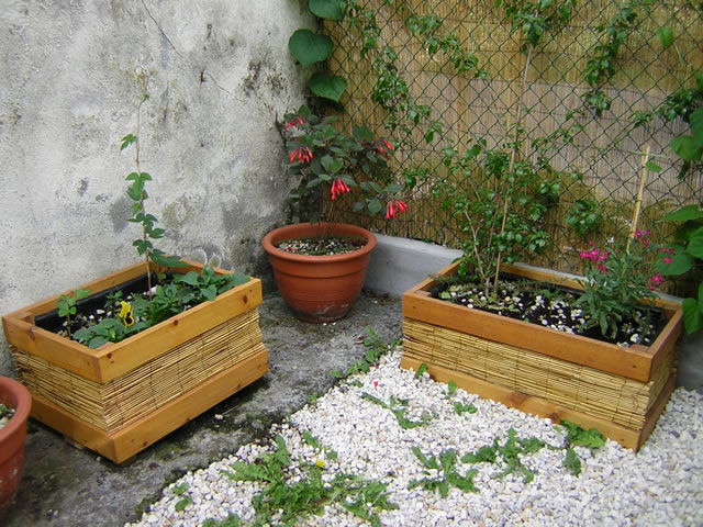 DSCN1037.JPG