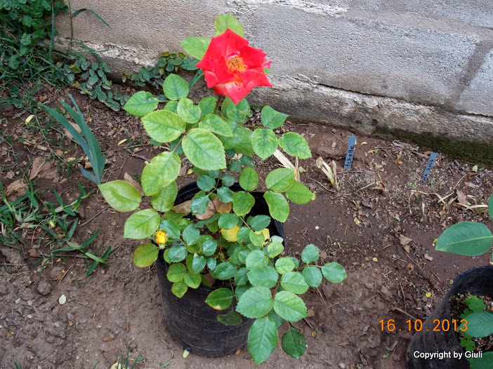 DSCN1037.JPG