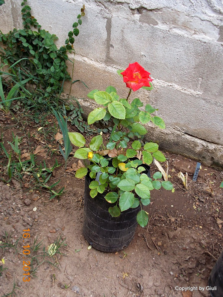 DSCN1038.JPG
