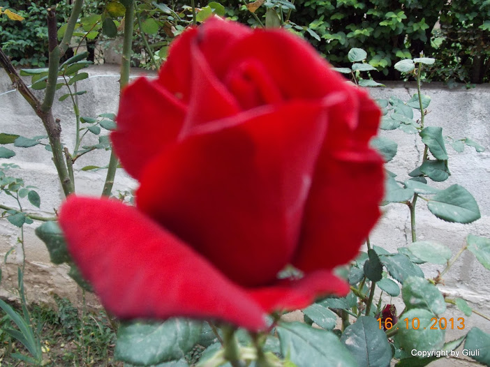 DSCN1041.JPG