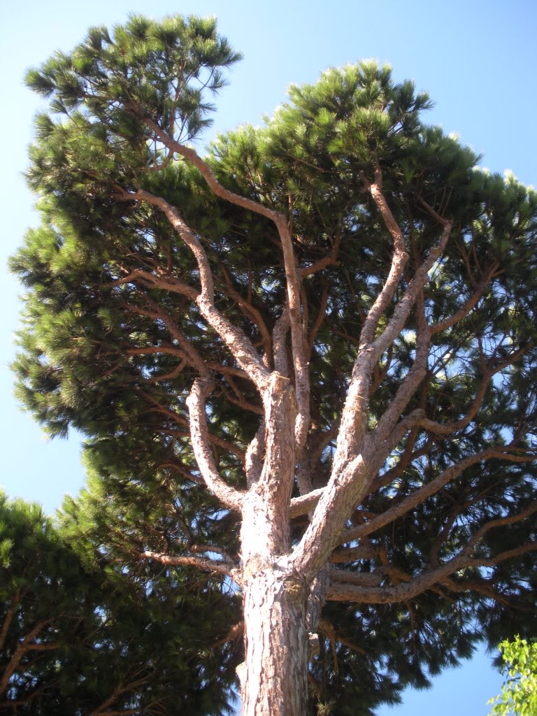 DSCN1042.jpg
