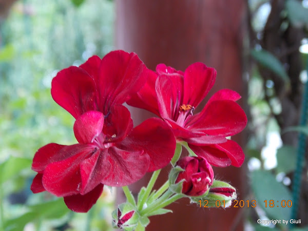 DSCN1042.JPG
