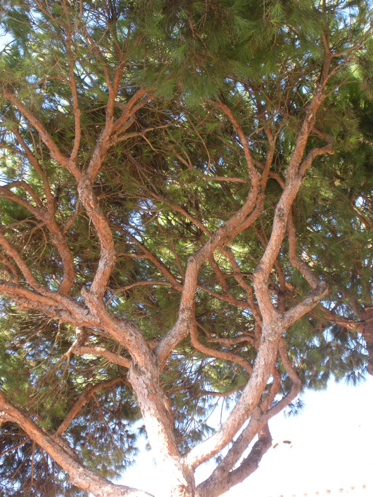 DSCN1043.jpg