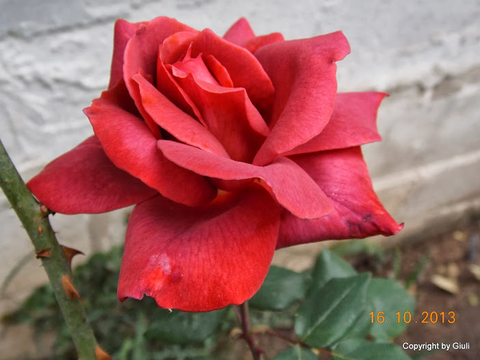 DSCN1043.JPG