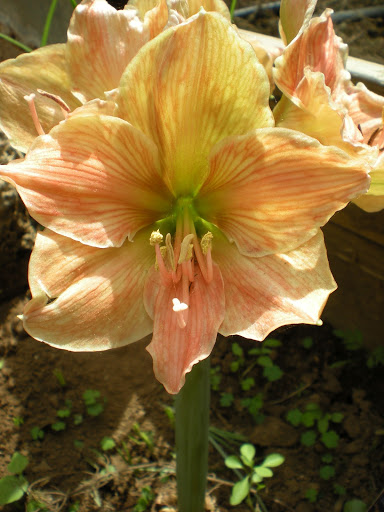 DSCN1045.JPG