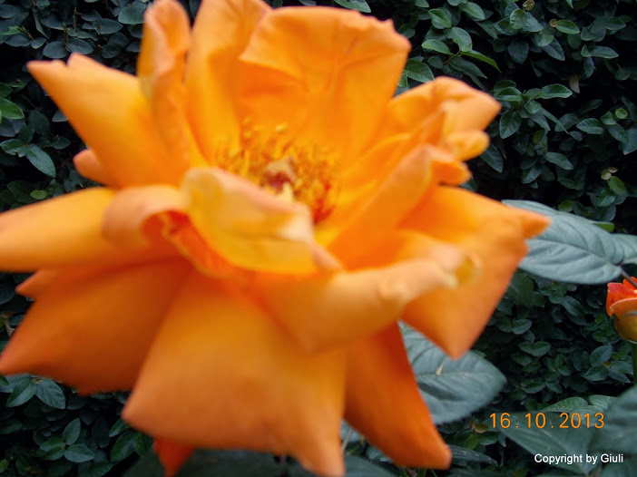 DSCN1045.JPG