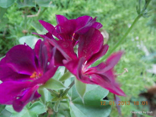 DSCN1047.JPG