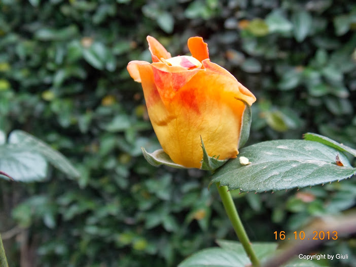 DSCN1047.JPG