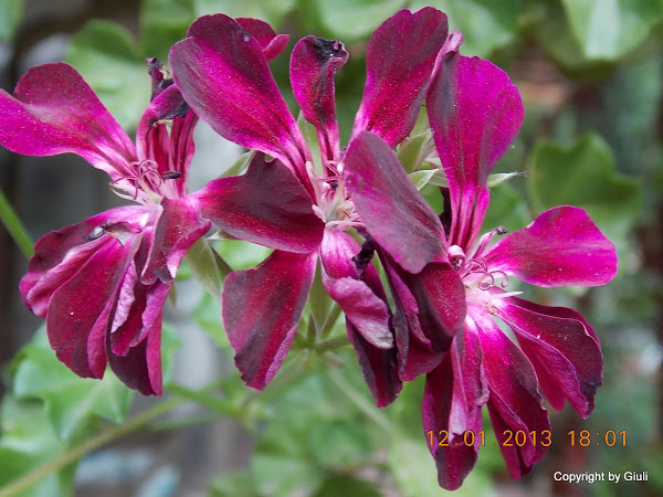 DSCN1048.JPG