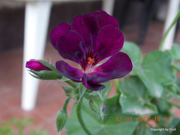 DSCN1049.JPG