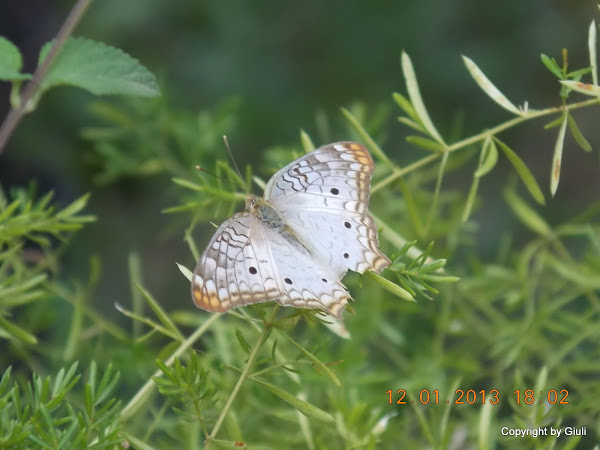 DSCN1051.JPG