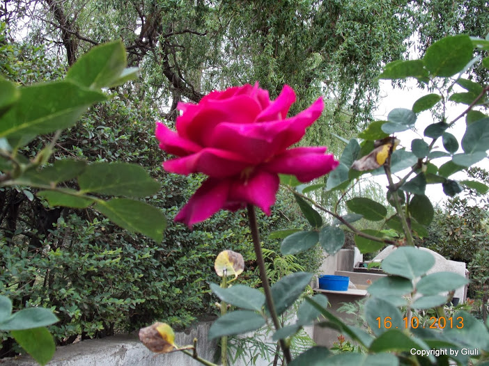 DSCN1054.JPG