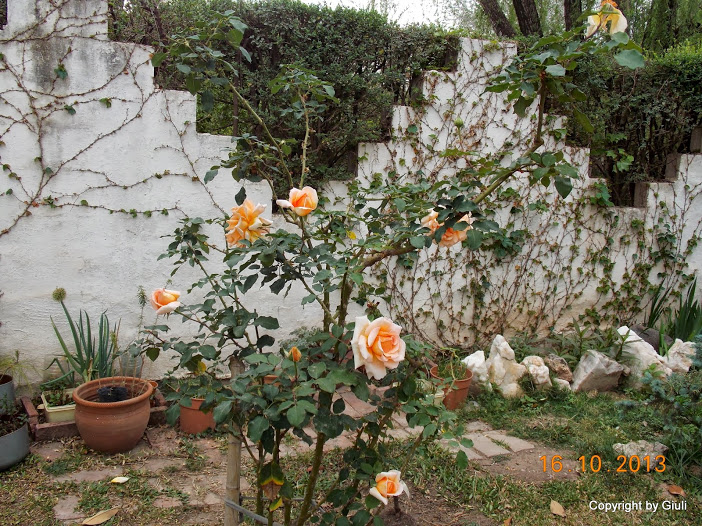 DSCN1056.JPG