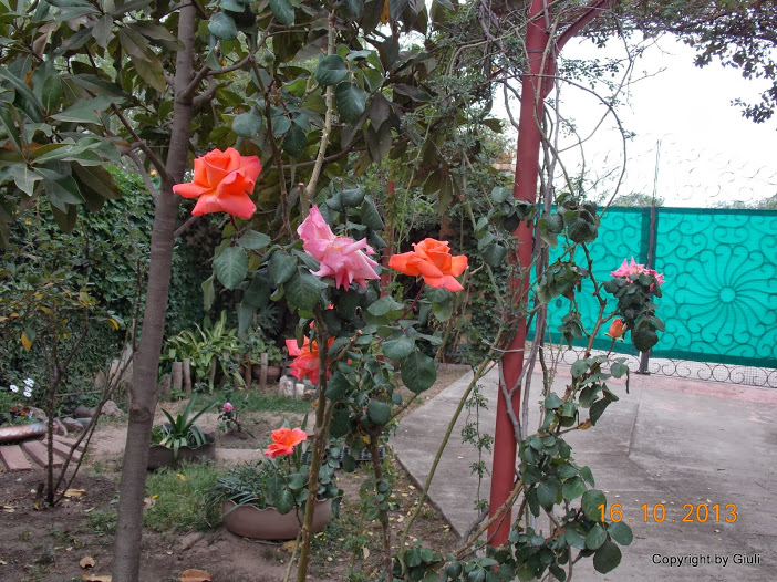 DSCN1057.JPG
