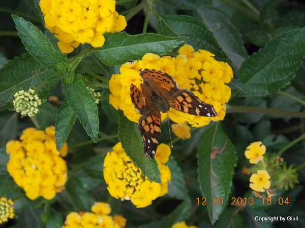 DSCN1058.JPG