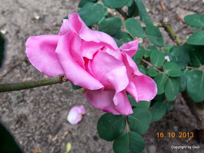 DSCN1059.JPG