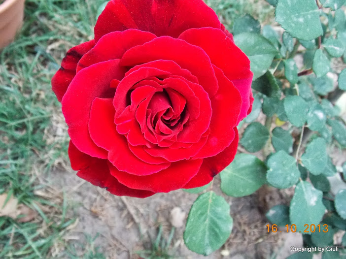 DSCN1060.JPG