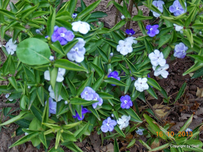 DSCN1062.JPG