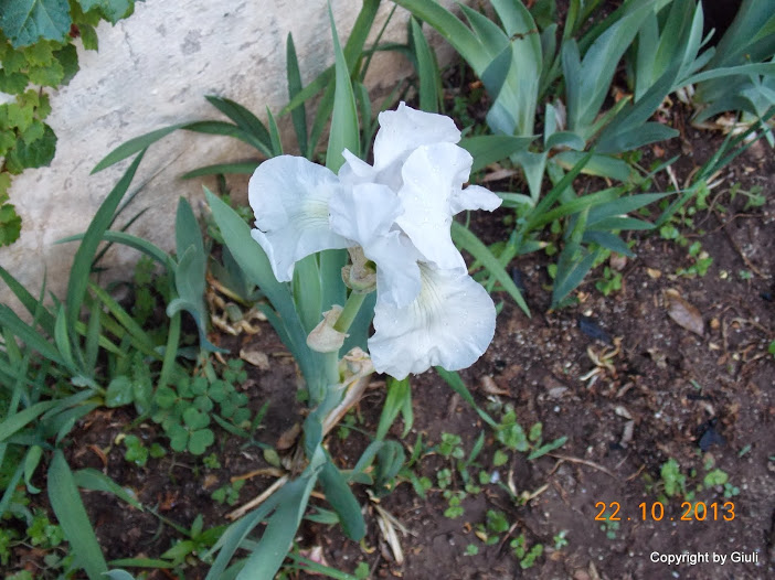 DSCN1066.JPG